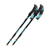 Fizan Compact 4 Tech Walking Poles