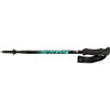 Fizan Compact 4 Collapsible Trekking Poles