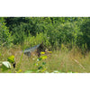 Bushmen Thermo Tarp 2x3 Camo