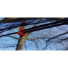 Bushmen Vagabond Hammock Set - Dark Olive
