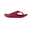 Telic Energy Flip Flop - Dark Cherry