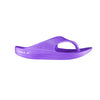 Telic Energy Flip Flop - Grape Vine