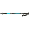 Fizan Explorer Trekking Poles