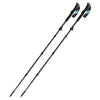 Fizan Ultrax Carbon Walking pole, Light Blue