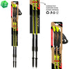 Fizan Speed Walking Poles
