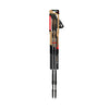 Fizan Speed Walking Poles