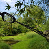 Bushmen Easy Hammock Olive